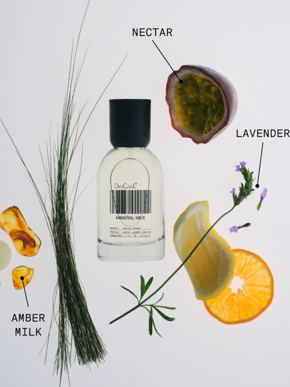 Niche / Luxury Perfume Bundle - DedCool + More!
